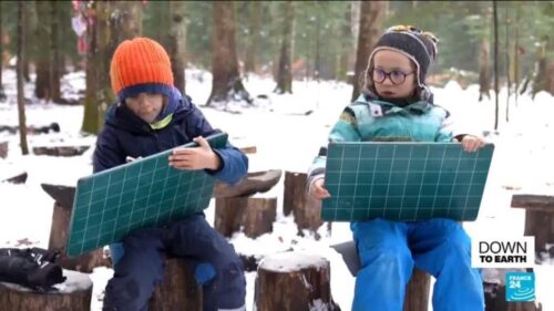 Can forest schools teach children how to care for the environment?