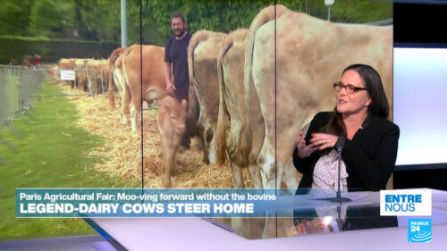 Holy cow: Paris Agriculture Fair moo-ves forward without the bovine