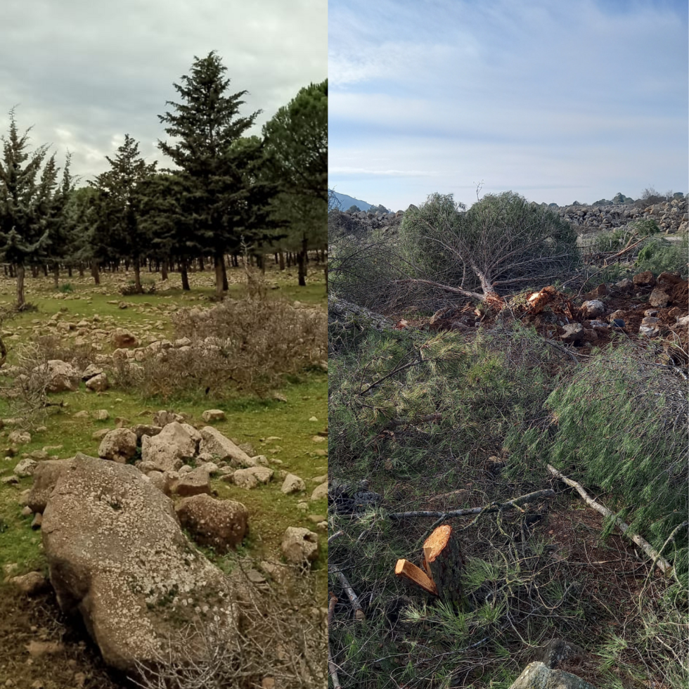 The image at the left shows Kodna forest before December 8, 2024, while the second image shows the same forest in January 2025. You can clearly see the forest clearing activities carried out by Israel