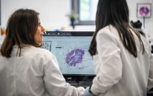 Press release – Parliament calls for continued EU action to fight cancer