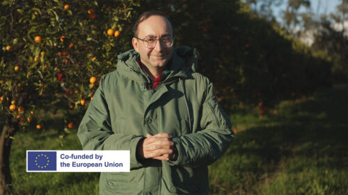 Warning: French regions at risk! Part 1: Corsica