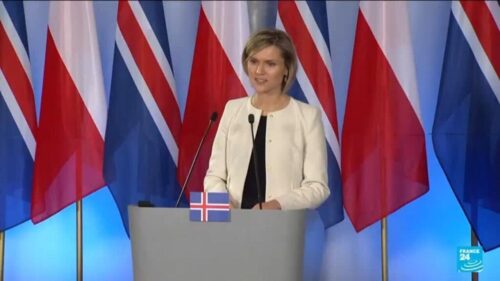 Iceland to hold EU referendum ‘over the coming months’, Prime Minister says