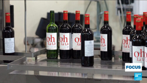 Winemakers of France’s Bordeaux region forced to adapt to survive