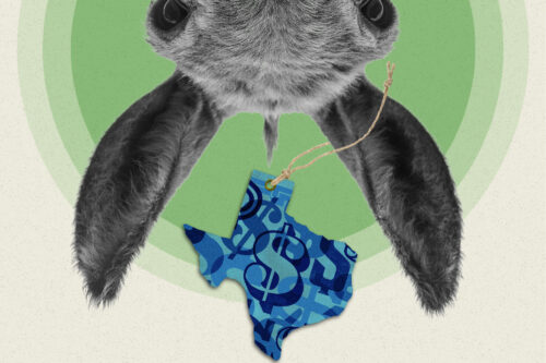 Dems aren’t sure whether to actually spend big to flip Texas