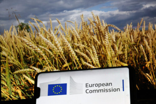 EU Commission loses another access to documents court case