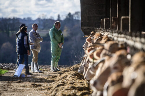 EU climate advisers say eat less meat and tax farm emissions