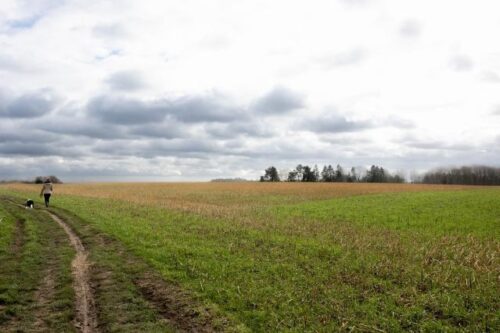 Exposure to pollution increases risk of mental health issues