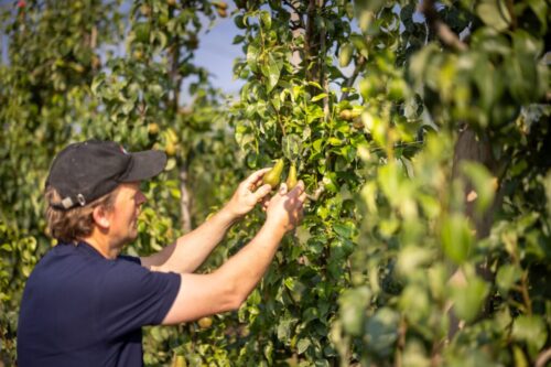 OPINION: To fix Europe’s food system, start with the school lunch