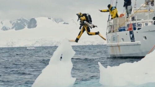 Scientists discover entire ecosystem hidden under ice of Antarctica