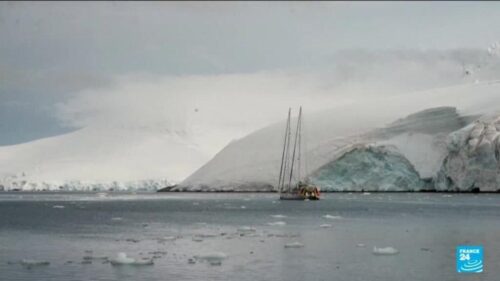 Scientists dive beneath Arctic ice to study threatened ecosystems