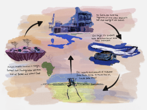 Seeds of doubt: The dark side of an Italian energy giant’s green jet fuel promise