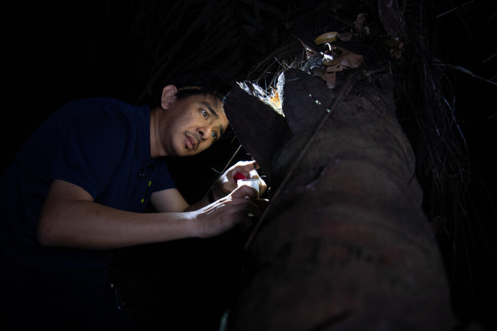 Cristian Lucanas's obsession began 12 years ago on a field trip to a bat cave on a remote island, its floor crawling with cockroaches feasting on guano