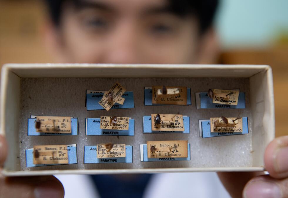 It is not true, for instance, that cockroaches will inherit the earth after a nuclear war, Cristian Lucanas said, noting that their resistance to radioactive exposure is about on par with other insect