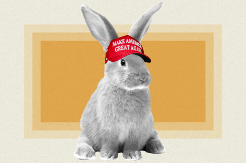 Why one of the world’s biggest animal rights group is praising Trump