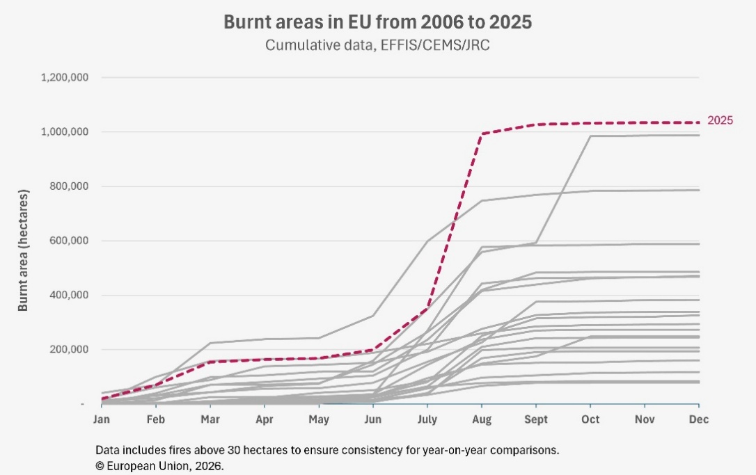 A line chart showing cumulative burnt area in EU Member States from 2006 to 2025, measured in hectares by month. Each grey line represents a individual year; the 2025 line sits well above all others, reaching approximately 1 million hectares by August and remaining the highest recorded value through to December.