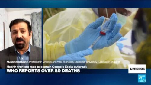 DRC Ebola outbreak ‘way bigger that what we see now’, virologist says