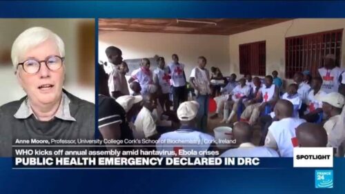Damage control over prevention: International health system ‘closing gaps instead pushing forward’