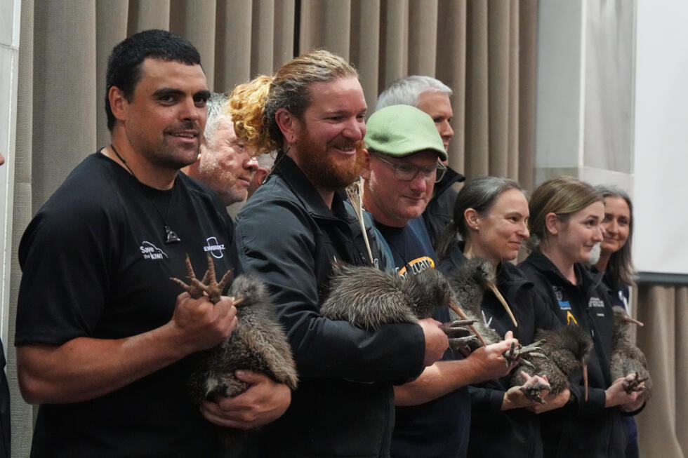 Staff members of conservation organisations hold kiwi birds during an event at Parliament in Wellington, New Zealand.