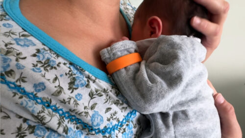 ‘We’ve been poisoned’: Babies exposed to pesticides in the womb