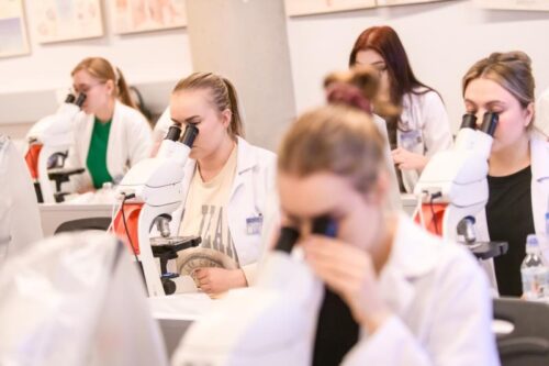 Choose Europe: 319 researchers awarded over €800 million for groundbreaking research