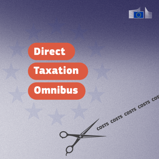 Direct taxation omnibus title with cisors