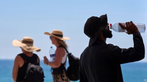 More than 1,300 excess deaths linked to record-breaking Europe heatwave, WHO says